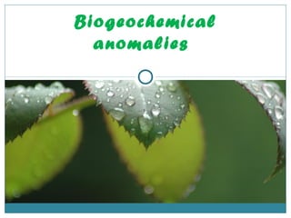 Biogeochemical
anomalies
 