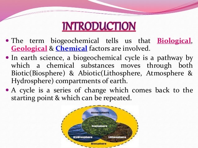 Biogeochemical Cycle