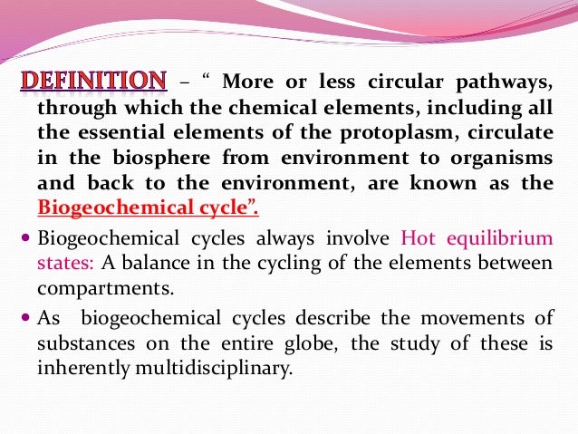 biogeochemical cycle definition