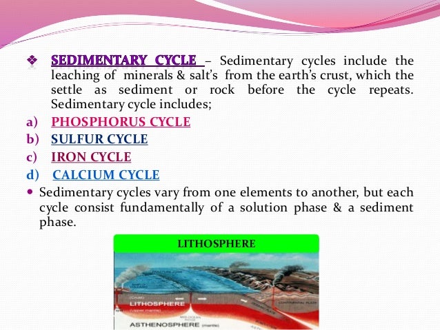 biogeochemical cycle definition