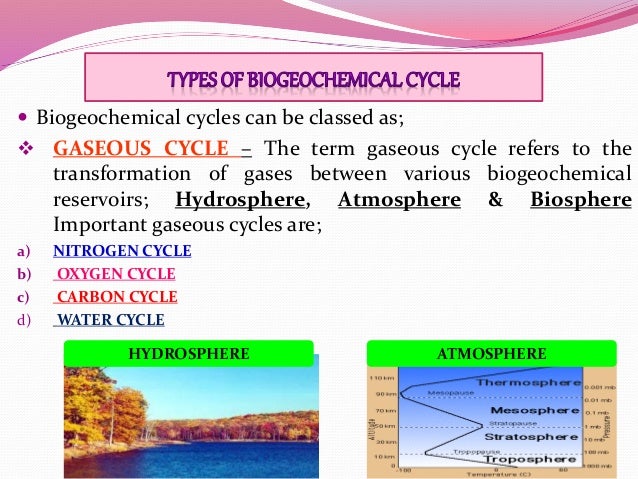 copper molybdenum 5 biogeochemical cycles