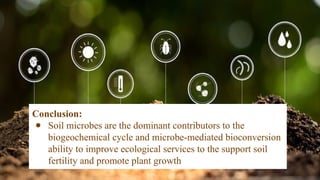 Biogeochemical cycle.pptx for botanist in studies purpose | PPTX