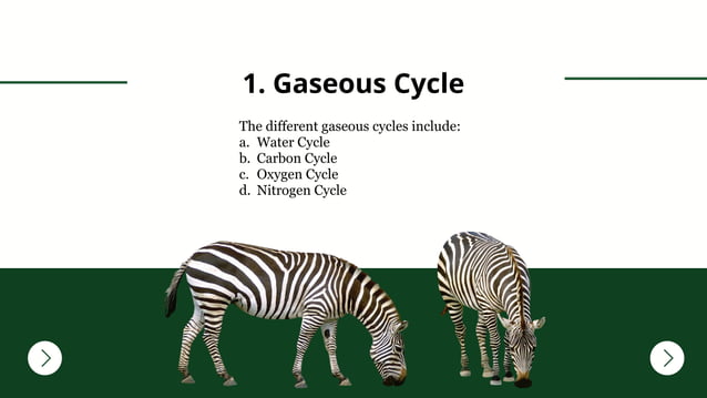 Biogeochemical Cycle-Environmental Science.pptx