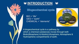 BIOGEOCHEMICAL CYCLE of carbon and nitrogen JK | PPTX