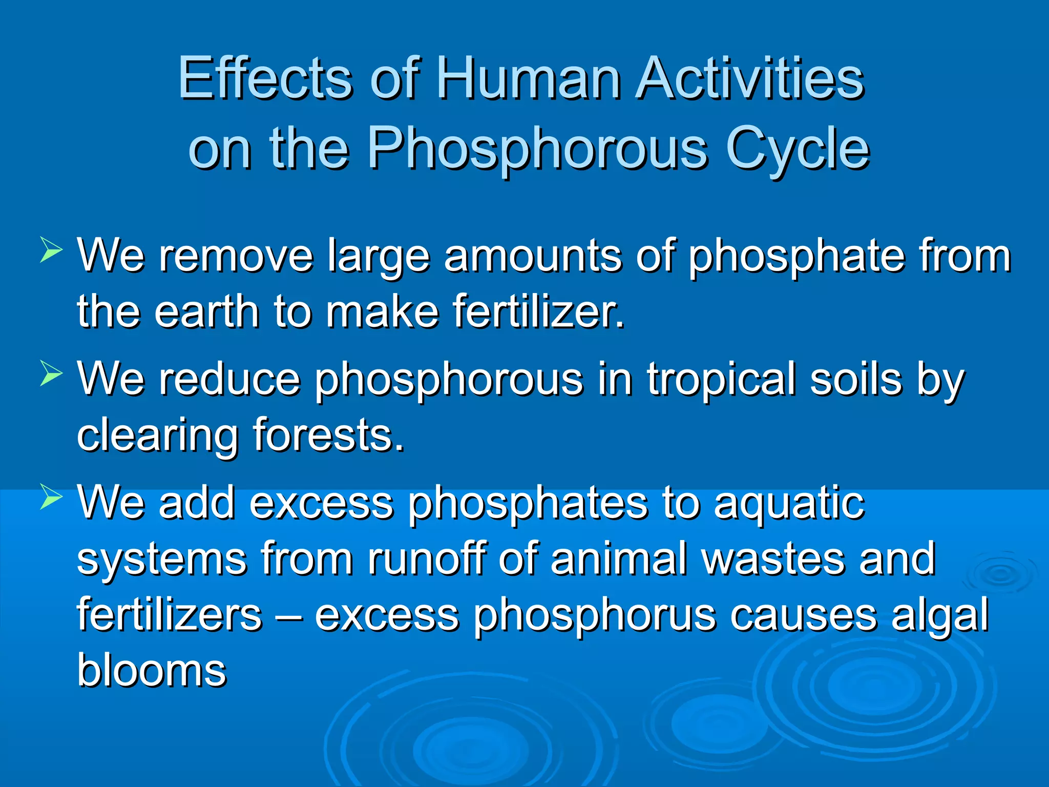 Effects of Human Activities
      on the Phosphorous Cycle
 We remove large amounts of phosphate from
  the earth to make fertilizer.
 We reduce phosphorous in tropical soils by
  clearing forests.
 We add excess phosphates to aquatic
  systems from runoff of animal wastes and
  fertilizers – excess phosphorus causes algal
  blooms
 