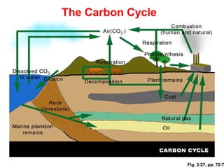 The Carbon Cycle




                   Fig. 3-27, pp. 72-7
 