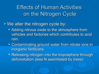Effects of Human Activities
            on the Nitrogen Cycle
 We alter the nitrogen cycle by:
     Adding nitrous oxide to the atmosphere from
      vehicles and factories which contributes to acid
      rain.
     Contaminating ground water from nitrate ions in
      inorganic fertilizers.
     Releasing nitrogen into the troposphere through
      deforestation (less N assimilated by trees).
 