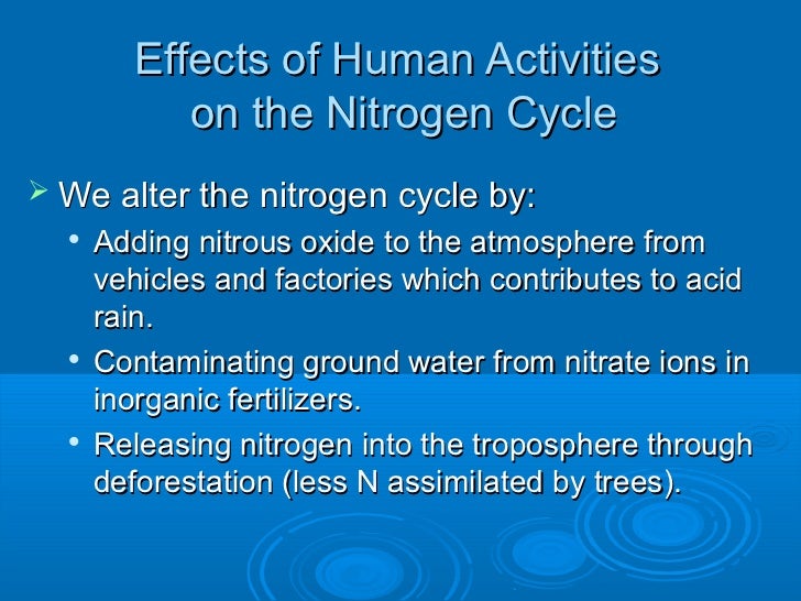 How do humans affect the nitrogen cycle?