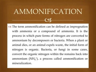 AMMONIFICATION

 The term ammonification can be defined as impregnation
with ammonia or a compound of ammonia. It is the
process in which pure forms of nitrogen are converted to
ammonium by decomposers or bacteria. When a plant or
animal dies, or an animal expels waste, the initial form of
nitrogen is organic. Bacteria, or fungi in some cases,
convert the organic nitrogen within the remains back into
ammonium (NH4+), a process called ammonification or
mineralization.

 