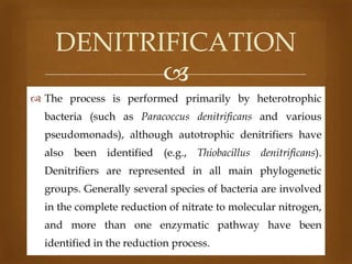 DENITRIFICATION

 The process is performed primarily by heterotrophic
bacteria (such as Paracoccus denitrificans and various
pseudomonads), although autotrophic denitrifiers have
also been identified (e.g., Thiobacillus denitrificans).
Denitrifiers are represented in all main phylogenetic

groups. Generally several species of bacteria are involved
in the complete reduction of nitrate to molecular nitrogen,
and more than one enzymatic pathway have been

identified in the reduction process.

 