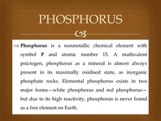 PHOSPHORUS

 Phosphorus is a nonmetallic chemical element with
symbol P and atomic number 15. A multivalent
pnictogen, phosphorus as a mineral is almost always
present in its maximally oxidised state, as inorganic
phosphate rocks. Elemental phosphorus exists in two
major forms—white phosphorus and red phosphorus—
but due to its high reactivity, phosphorus is never found
as a free element on Earth.

 
