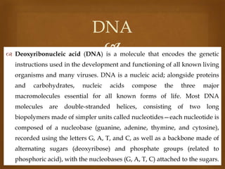 DNA


 Deoxyribonucleic acid (DNA) is a molecule that encodes the genetic
instructions used in the development and functioning of all known living
organisms and many viruses. DNA is a nucleic acid; alongside proteins
and

carbohydrates,

nucleic

acids

compose

the

three

major

macromolecules essential for all known forms of life. Most DNA
molecules

are

double-stranded

helices,

consisting

of

two

long

biopolymers made of simpler units called nucleotides—each nucleotide is
composed of a nucleobase (guanine, adenine, thymine, and cytosine),

recorded using the letters G, A, T, and C, as well as a backbone made of
alternating sugars (deoxyribose) and phosphate groups (related to
phosphoric acid), with the nucleobases (G, A, T, C) attached to the sugars.

 