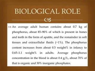BIOLOGICAL ROLE

 An average adult human contains about 0.7 kg of
phosphorus, about 85–90% of which is present in bones
and teeth in the form of apatite, and the remainder in soft
tissues and extracellular fluids (~1%). The phosphorus
content increases from about 0.5 weight% in infancy to
0.65–1.1

weight%

in

adults.

Average

phosphorus

concentration in the blood is about 0.4 g/L, about 70% of
that is organic and 30% inorganic phosphates.

 