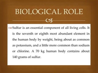BIOLOGICAL ROLE

 Sulfur is an essential component of all living cells. It

is the seventh or eighth most abundant element in
the human body by weight, being about as common
as potassium, and a little more common than sodium

or chlorine. A 70 kg human body contains about
140 grams of sulfur.

 
