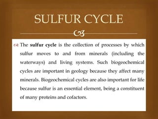 SULFUR CYCLE

 The sulfur cycle is the collection of processes by which
sulfur moves to and from minerals (including the
waterways) and living systems. Such biogeochemical
cycles are important in geology because they affect many
minerals. Biogeochemical cycles are also important for life
because sulfur is an essential element, being a constituent
of many proteins and cofactors.

 