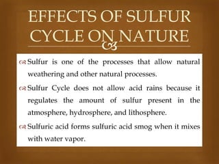 EFFECTS OF SULFUR
CYCLE ON NATURE

 Sulfur is one of the processes that allow natural
weathering and other natural processes.
 Sulfur Cycle does not allow acid rains because it
regulates the amount of sulfur present in the

atmosphere, hydrosphere, and lithosphere.
 Sulfuric acid forms sulfuric acid smog when it mixes
with water vapor.

 