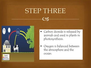 STEP THREE

 Carbon dioxide is released by
animals and used in plants in
photosynthesis.
 Oxygen is balanced between
the atmosphere and the
ocean.

 
