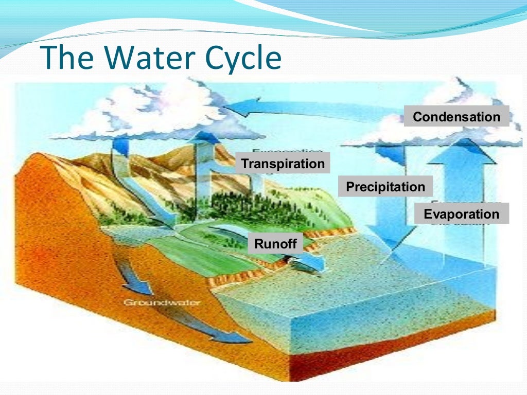 Biogeochemical Cycles Natural Cycles of Elements