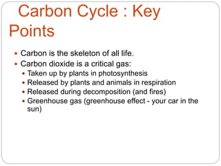 Carbon Cycle : Key
Points
 Carbon is the skeleton of all life.
 Carbon dioxide is a critical gas:
 Taken up by plants in photosynthesis
 Released by plants and animals in respiration
 Released during decomposition (and fires)
 Greenhouse gas (greenhouse effect - your car in the
sun)
 