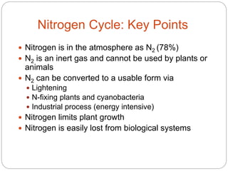 Nitrogen Cycle: Key Points
 Nitrogen is in the atmosphere as N2 (78%)
 N2 is an inert gas and cannot be used by plants or
animals
 N2 can be converted to a usable form via
 Lightening
 N-fixing plants and cyanobacteria
 Industrial process (energy intensive)
 Nitrogen limits plant growth
 Nitrogen is easily lost from biological systems
 