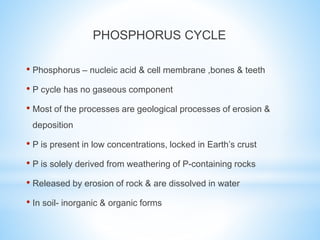 PHOSPHORUS CYCLE
• Phosphorus – nucleic acid & cell membrane ,bones & teeth
• P cycle has no gaseous component
• Most of the processes are geological processes of erosion &
deposition
• P is present in low concentrations, locked in Earth’s crust
• P is solely derived from weathering of P-containing rocks
• Released by erosion of rock & are dissolved in water
• In soil- inorganic & organic forms
 