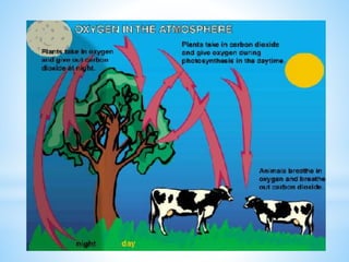 Biogeochemical cycles