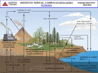 Language department
2018-2019
Phosphorous cycle
 