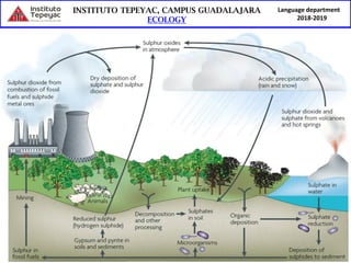 Language department
2018-2019
Phosphorous cycle
 