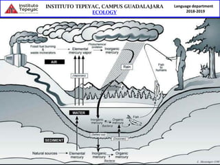Language department
2018-2019
 