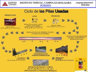 Language department
2018-2019
 