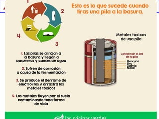 Language department
2018-2019
 