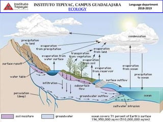 Language department
2018-2019
 