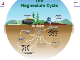 Language department
2018-2019
 