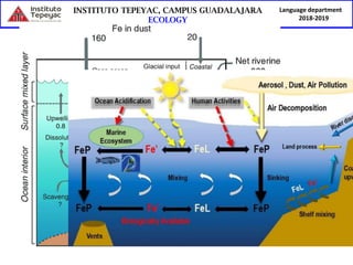 Language department
2018-2019
 