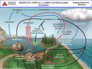 Language department
2018-2019
 