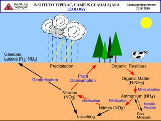 Language department
2018-2019
 