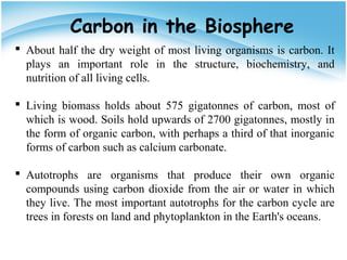 Carbon in the Biosphere
 About half the dry weight of most living organisms is carbon. It
plays an important role in the structure, biochemistry, and
nutrition of all living cells.
 Living biomass holds about 575 gigatonnes of carbon, most of
which is wood. Soils hold upwards of 2700 gigatonnes, mostly in
the form of organic carbon, with perhaps a third of that inorganic
forms of carbon such as calcium carbonate.
 Autotrophs are organisms that produce their own organic
compounds using carbon dioxide from the air or water in which
they live. The most important autotrophs for the carbon cycle are
trees in forests on land and phytoplankton in the Earth's oceans.
 