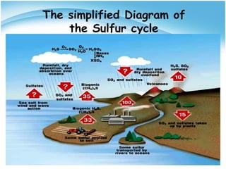 The simplified Diagram of
the Sulfur cycle
 