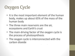 Oxygen Cycle
 