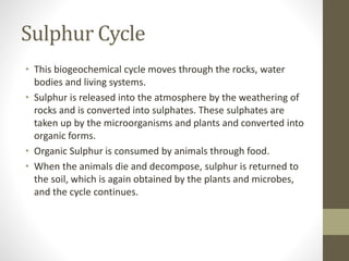 Sulphur Cycle
• This biogeochemical cycle moves through the rocks, water
bodies and living systems.
• Sulphur is released into the atmosphere by the weathering of
rocks and is converted into sulphates. These sulphates are
taken up by the microorganisms and plants and converted into
organic forms.
• Organic Sulphur is consumed by animals through food.
• When the animals die and decompose, sulphur is returned to
the soil, which is again obtained by the plants and microbes,
and the cycle continues.
 