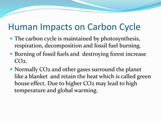 Human Impacts on Carbon Cycle
 The carbon cycle is maintained by photosynthesis,
respiration, decomposition and fossil fuel burning.
 Burning of fossil fuels and destroying forest increase
CO2.
 Normally CO2 and other gases surround the planet
like a blanket and retain the heat which is called green
house effect. Due to higher CO2 may lead to high
temperature and global warming.
 