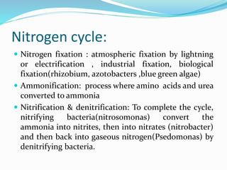 Nitrogen cycle:
 Nitrogen fixation : atmospheric fixation by lightning
or electrification , industrial fixation, biological
fixation(rhizobium, azotobacters ,blue green algae)
 Ammonification: process where amino acids and urea
converted to ammonia
 Nitrification & denitrification: To complete the cycle,
nitrifying bacteria(nitrosomonas) convert the
ammonia into nitrites, then into nitrates (nitrobacter)
and then back into gaseous nitrogen(Psedomonas) by
denitrifying bacteria.
 