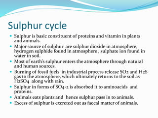 Sulphur cycle
 Sulphur is basic constituent of proteins and vitamin in plants
and animals.
 Major source of sulphur are sulphur dioxide in atmosphere,
hydrogen sulphide found in atmosphere , sulphate ion found in
water in soil.
 Most of earth’s sulphur enters the atmosphere through natural
and human sources.
 Burning of fossil fuels in industrial process release SO2 and H2S
gas to the atmosphere, which ultimately returns to the soil as
H2SO4 along with rain.
 Sulphur in forms of SO4-2 is absorbed it to aminoacids and
proteins.
 Animals eats plants and hence sulphur pass in to animals.
 Excess of sulphur is excreted out as faecal matter of animals.
 