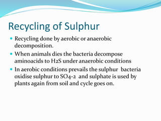 Recycling of Sulphur
 Recycling done by aerobic or anaerobic
decomposition.
 When animals dies the bacteria decompose
aminoacids to H2S under anaerobic conditions
 In aerobic conditions prevails the sulphur bacteria
oxidise sulphur to SO4-2 and sulphate is used by
plants again from soil and cycle goes on.
 
