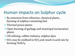 Human impacts on Sulphur cycle
 By emissions from refineries, chemical plants ,
burning of sulphur containing fuel.
 Thermal power plants
 Open burning of garbage and municipal incineration
plants
 Oil refining, rubber industry, sulphur dyes
 SO2 may be oxidised to SO3 and result in acid rain by
forming H2SO4
 