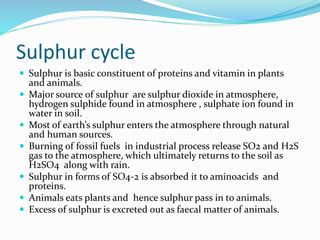 Sulphur cycle
 Sulphur is basic constituent of proteins and vitamin in plants
and animals.
 Major source of sulphur are ...