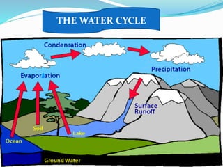 THE WATER CYCLE
 
