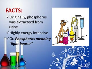 FACTS:
Originally, phosphorus
was extractecd from
urine
Highly energy intensive
Gr. Phosphoros meaning
“light bearer”
 