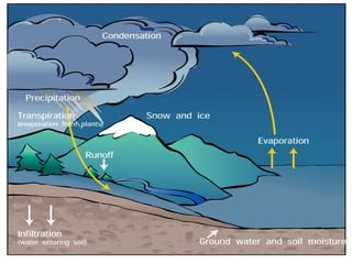 Biogeochemical Cycles - Hydrological Cycle, carbon and Nitrogen,.ppt