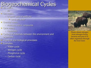 Biogeochemical Cycles Bio means… life Geo means… Of earth: parts of earth are Land, air, water Chemical means… Molecules and/or compounds Cycle means… Repeatedly Cycling of materials between the environment and organisms Chemical and biological processes Examples Water cycle Nitrogen cycle Phosphorus cycle Carbon cycle Plants obtain nitrogen from nitrogen-fixing bacteria and pass it to other organisms through the food chain  